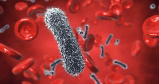Hepatit C Belirtileri ve Tedavisi