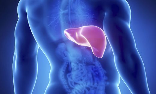 Hepatit C Siroz Belirtileri ve Tedavisi